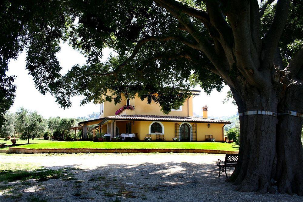 Azienda Agricola Il Bagolaro Nerola Esterno foto